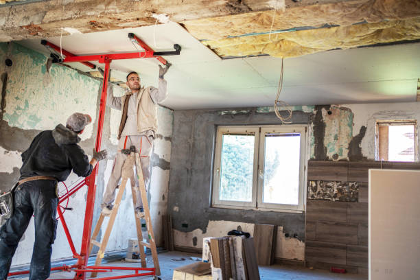 Reliable Webster Groves, MO Insulation Contractor Solutions