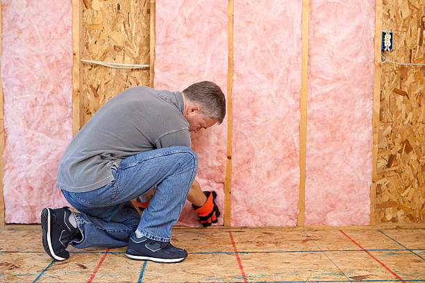 Best Residential Insulation in Webster Groves, MO