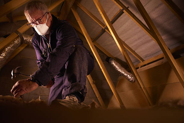 Best Commercial Insulation in Webster Groves, MO